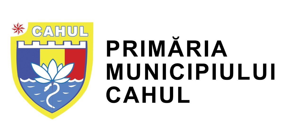 Partner Logo